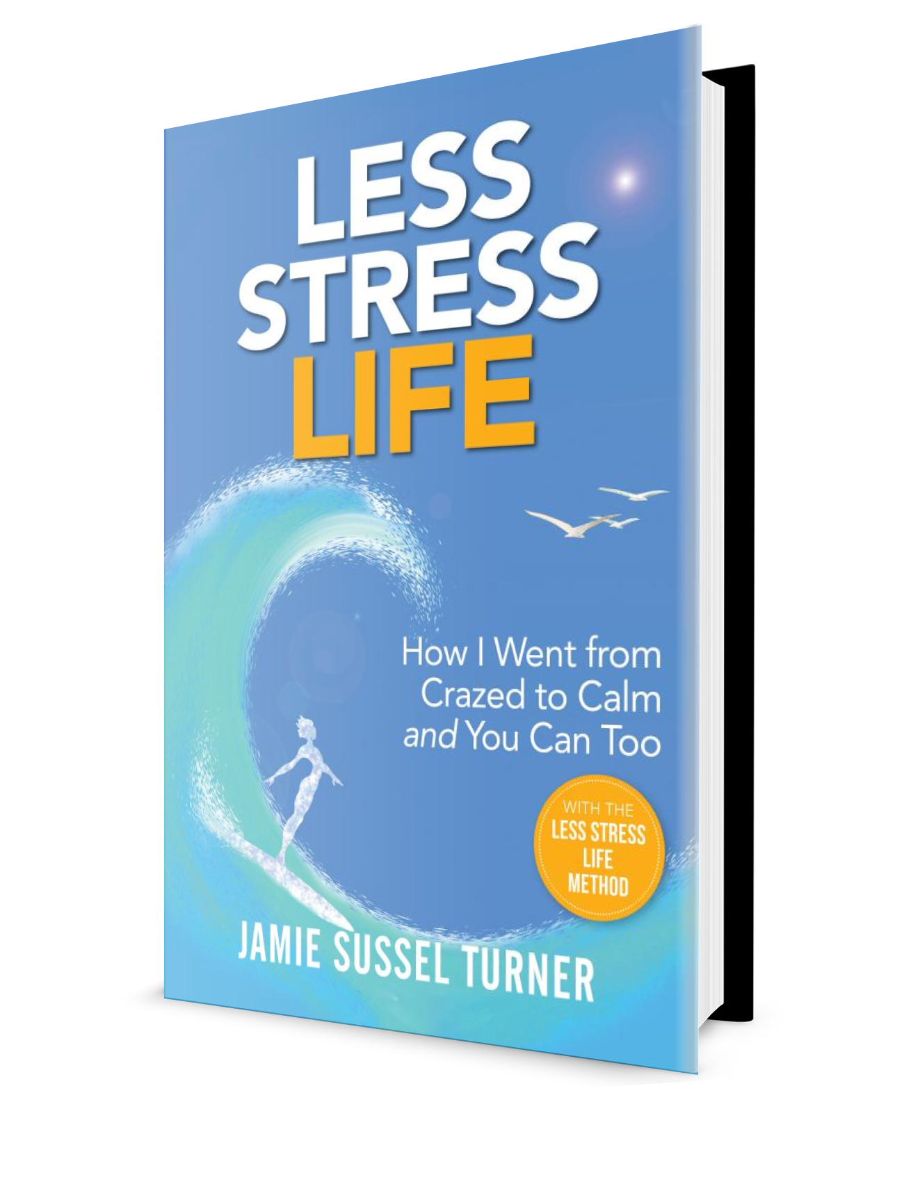Less Stress Life 3D