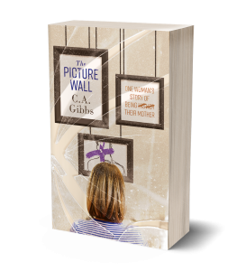 3D Picture Wall Book Cover