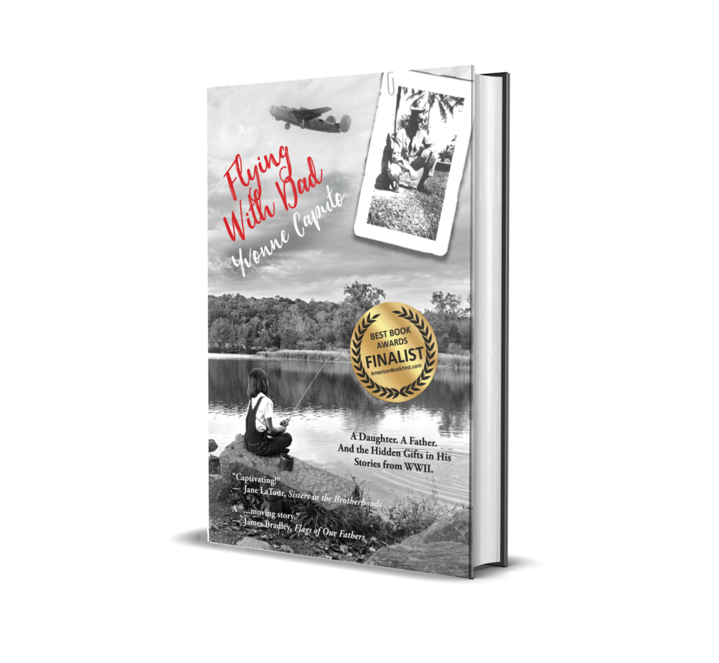 Flying With Dad 3D Hardcover