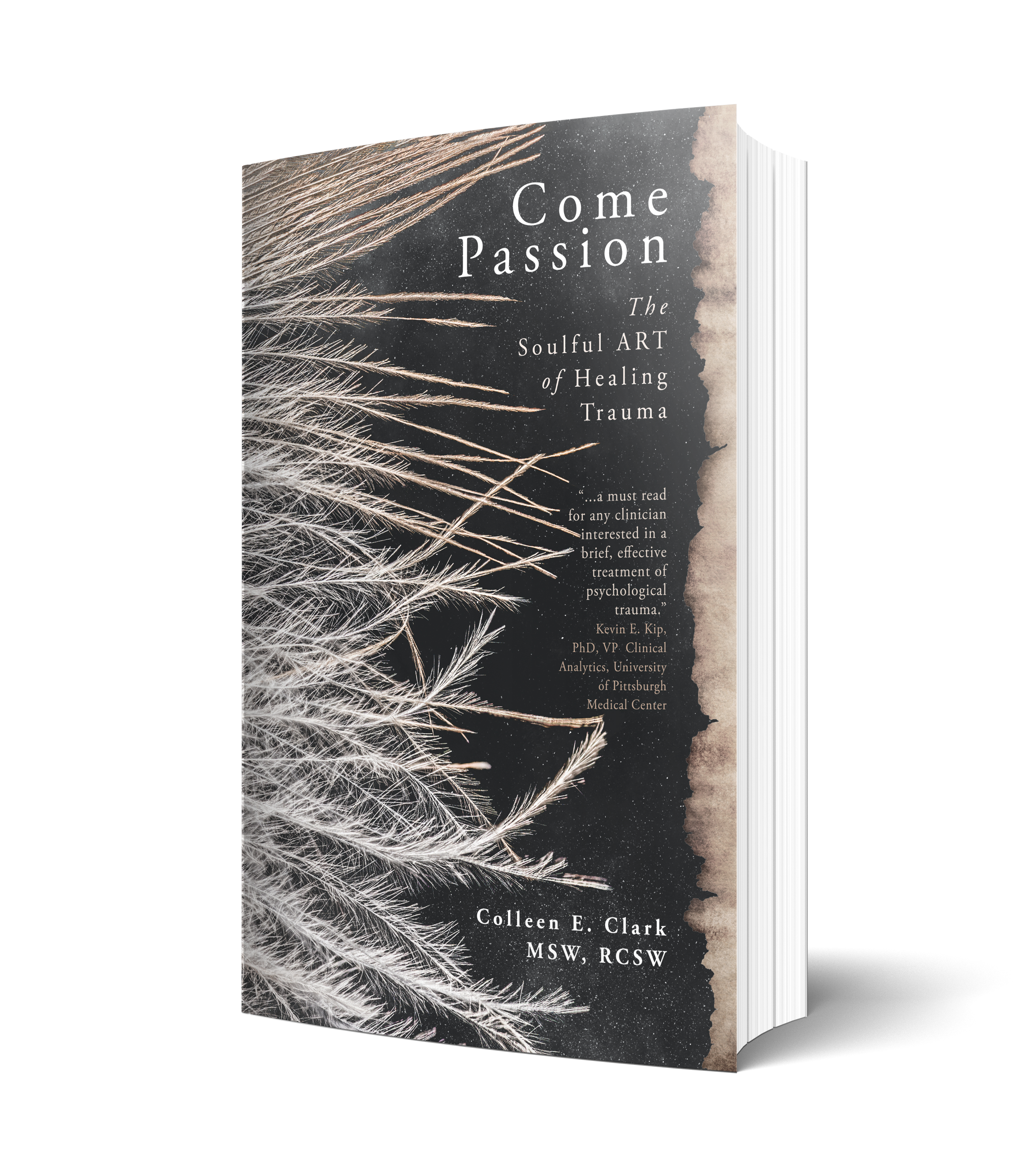 Come Passion 3D final Come Passion 3D book cover
