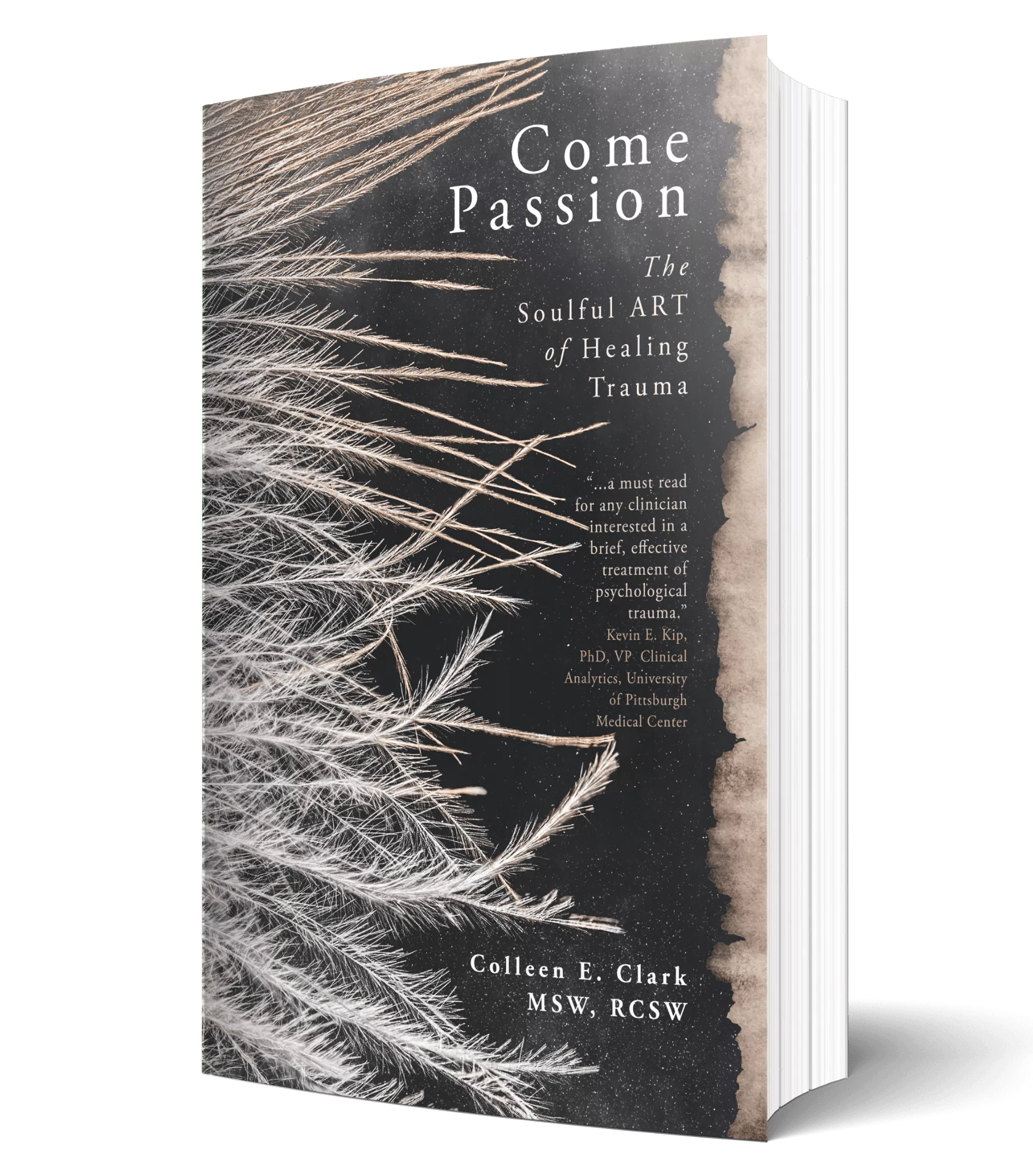 COME PASSION 3D EBOOK