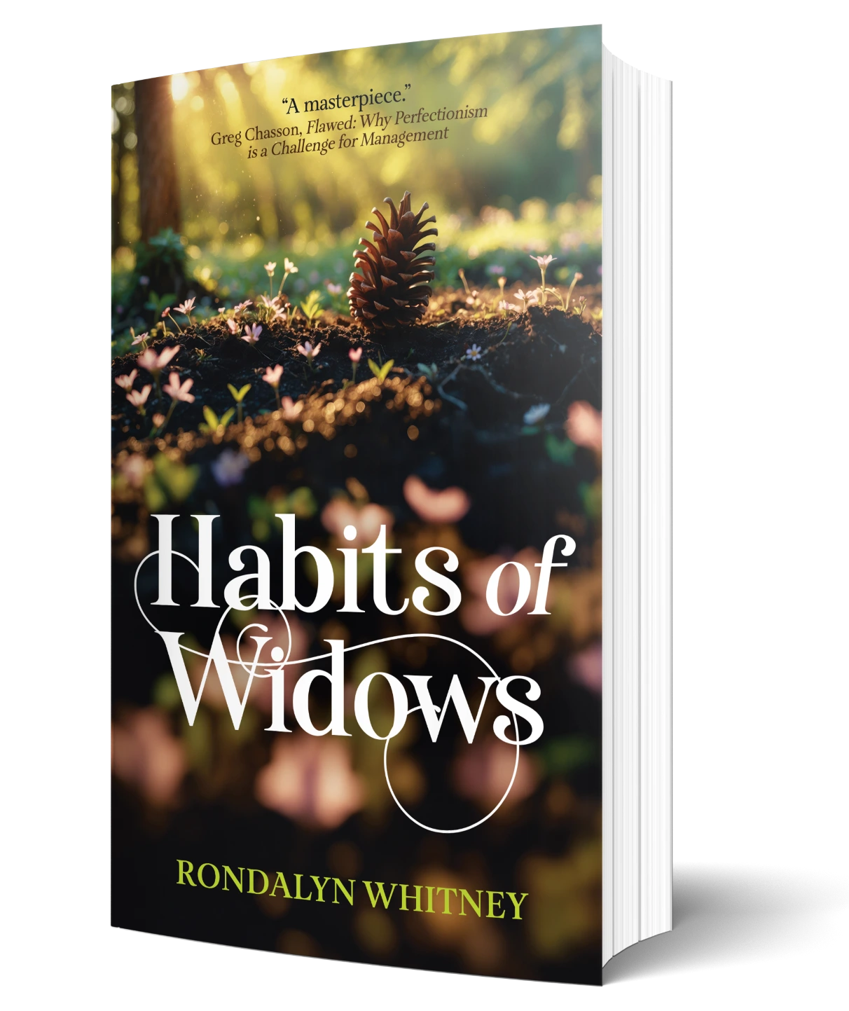 BC3D-RNWY-HABITS-260127-EYRG Book cover of "Habits of Widows" by Rondalyn Whitney